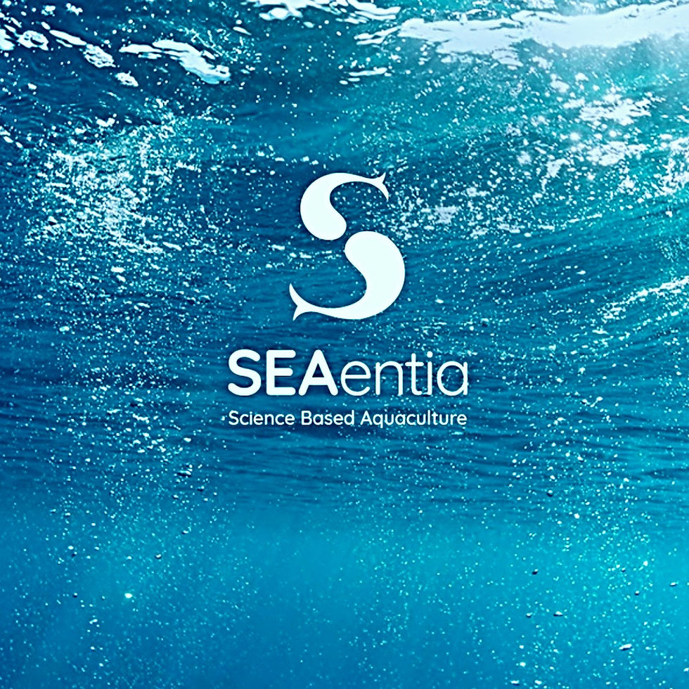 Portuguese aquaculture startup SEAentia raises 16 million euros - portugal news