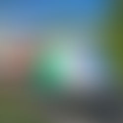 Portugal invests 1.8 billion euros to purchase trains 