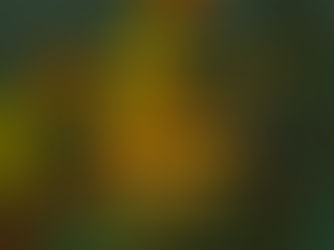 Portuguese aquaculture startup raises 17 million euros