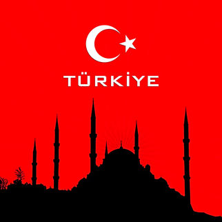 Top 10 companies in Türkiye with the highest brand value