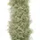 Thumbnail: Baby Breath Add On