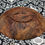 Thumbnail: Maple Burl Decorative Bowl 8.75x1.75 Inch