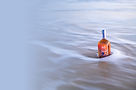 Sea Spirits Abalone Whisky