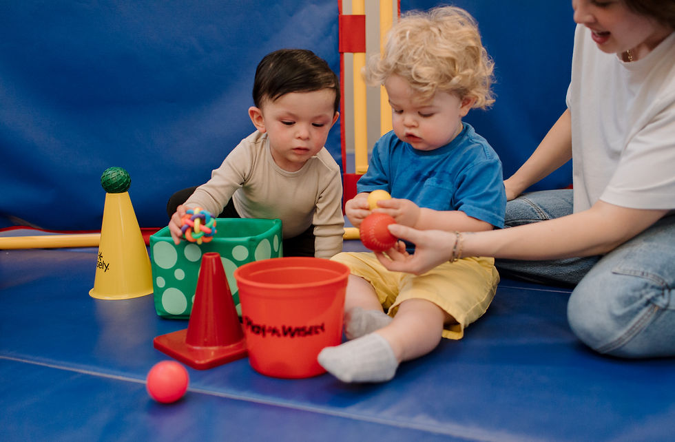 Babies brain development activity at PlayWisely