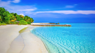 SO2 Tropical Serenity