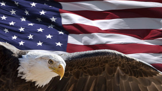 SA3 Flag and Eagle