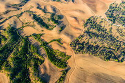 Northern Negev, 11246