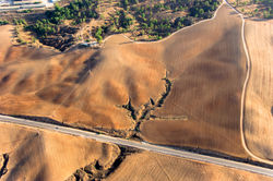 Northern Negev, 11251