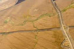Fields near Sderot, 0203