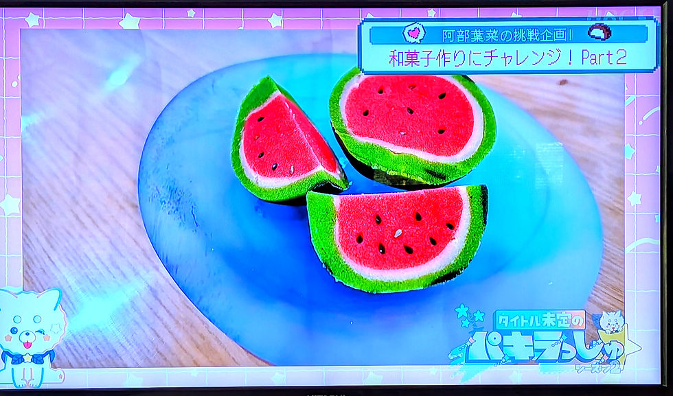 📺️２週にわたり出演