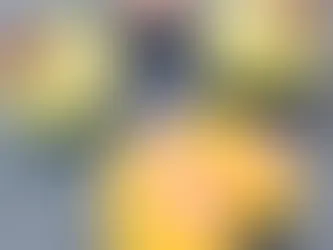 春衣🌸