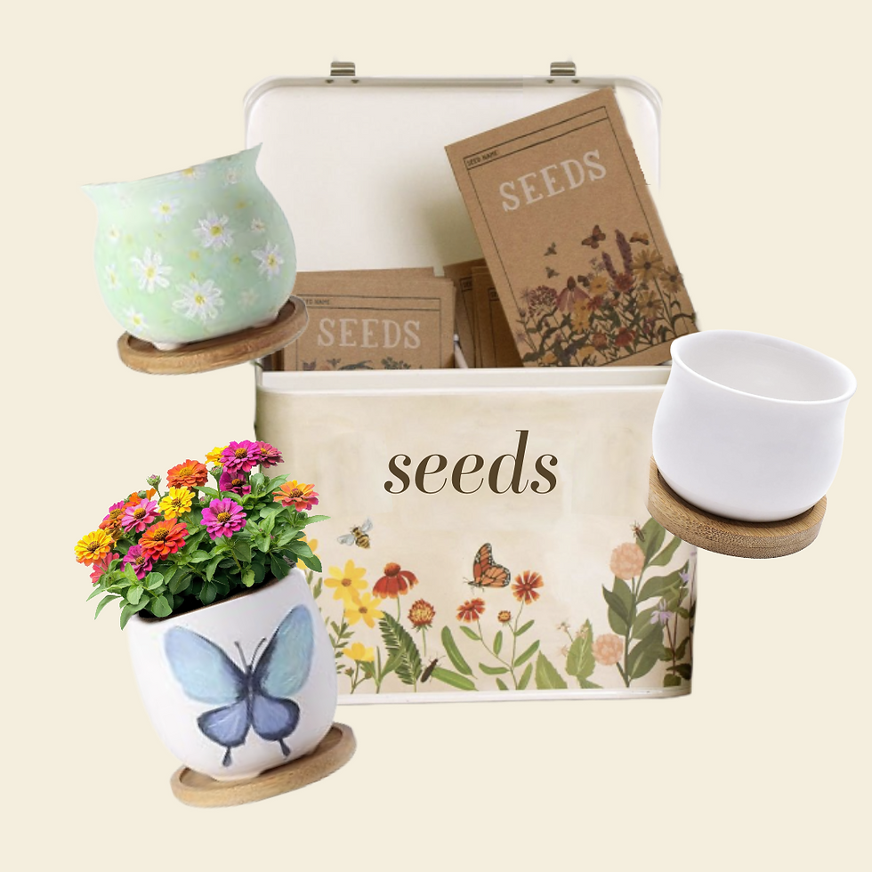 Gardening: Seed Box Decorating and Planting
