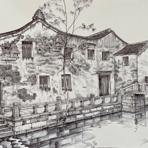 Observational Drawings