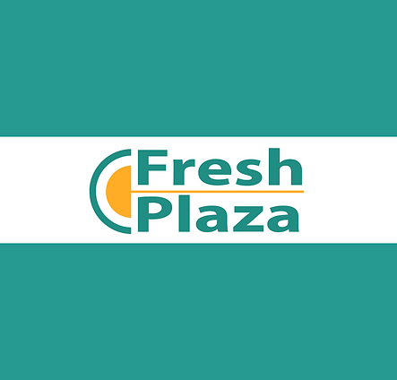 the optimist post chiusura e apertura (3).png