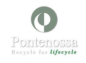 logo_sito-2 pontenossa.png