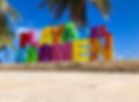 3.jpeg