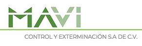 Logo_MAVI