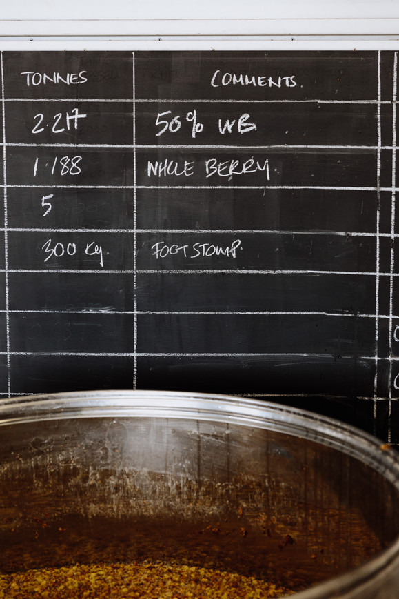 Y&P Blackboard