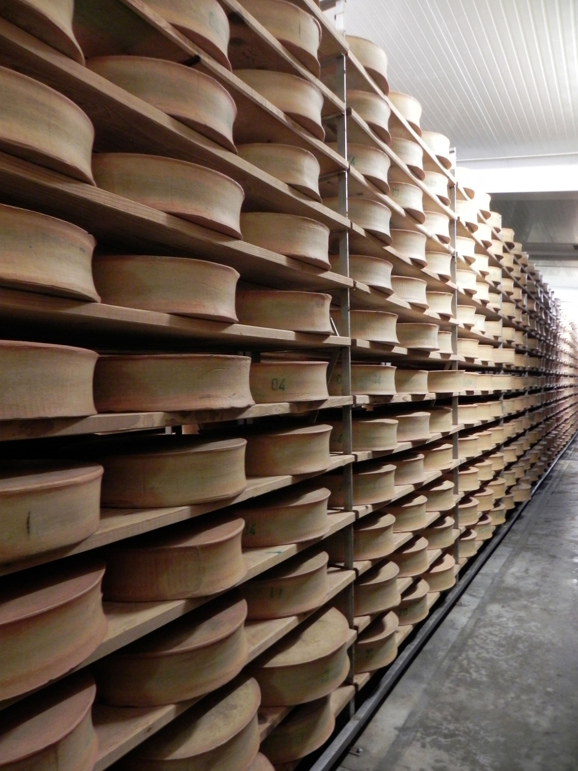 beaufort maturing on shelves
