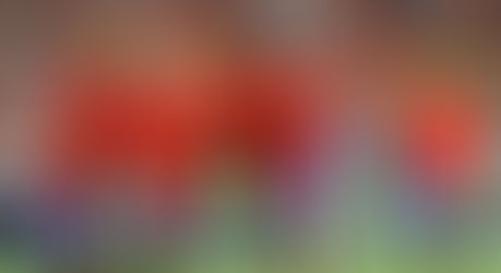 ¿Quienes juegan el mundial? Grupo B