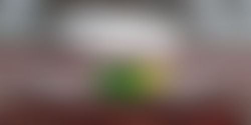 Conoce las sedes del Mundial de Rusia
