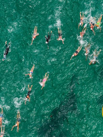 F. E. Ford Cup Trophy Swim Pre Race Info – Sunday 5th March 8.00am