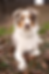 IMG_2982.PNG