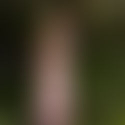 Joe & Cielo | Chicago Garfield Park Conservatory Proposal