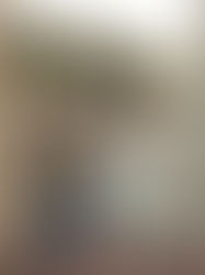 Maternity Proposal Mini