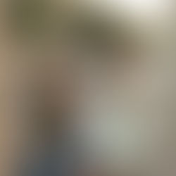 Maternity Proposal Mini