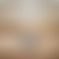 Rookery Building Proposal