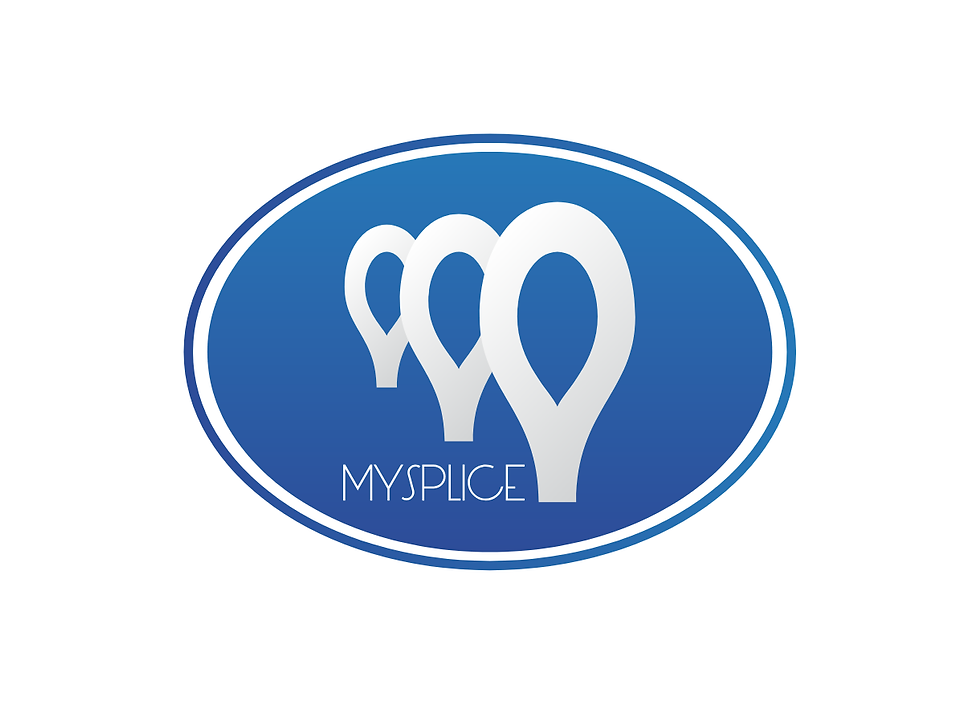 Logo_Mysplice.pdf (1)