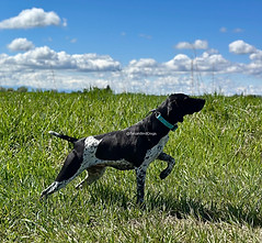 IMG_0851_edited.jpg
