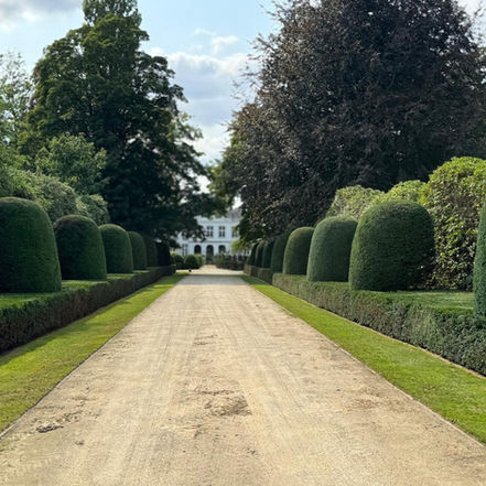 Perfect onderhouden tuin met strak gesnoeide hagen en vormsnoei door Tuinen Crauwels Glenn