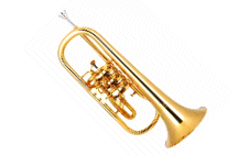 fluegelhorn.gif