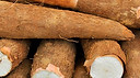 YUCA