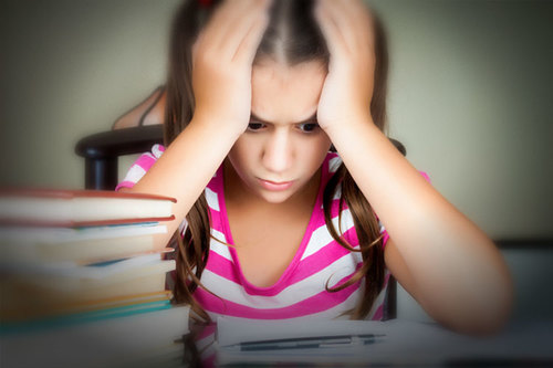 Homework Support