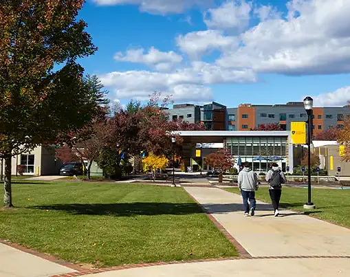 Southern New Hampshire University