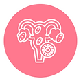 menstruations.PNG