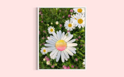 Paquerette_Sensartistik