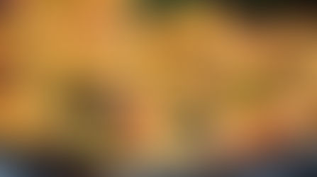 Conchiglie pasta salad with ham