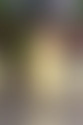 Banana smoothie with pasteurized eggs