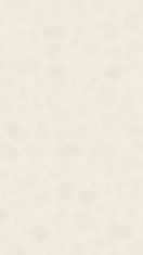 WhatsApp Image 2025-10-15 at 6.34.35 PM.jpeg