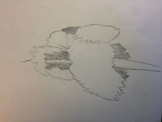 Assignment #3