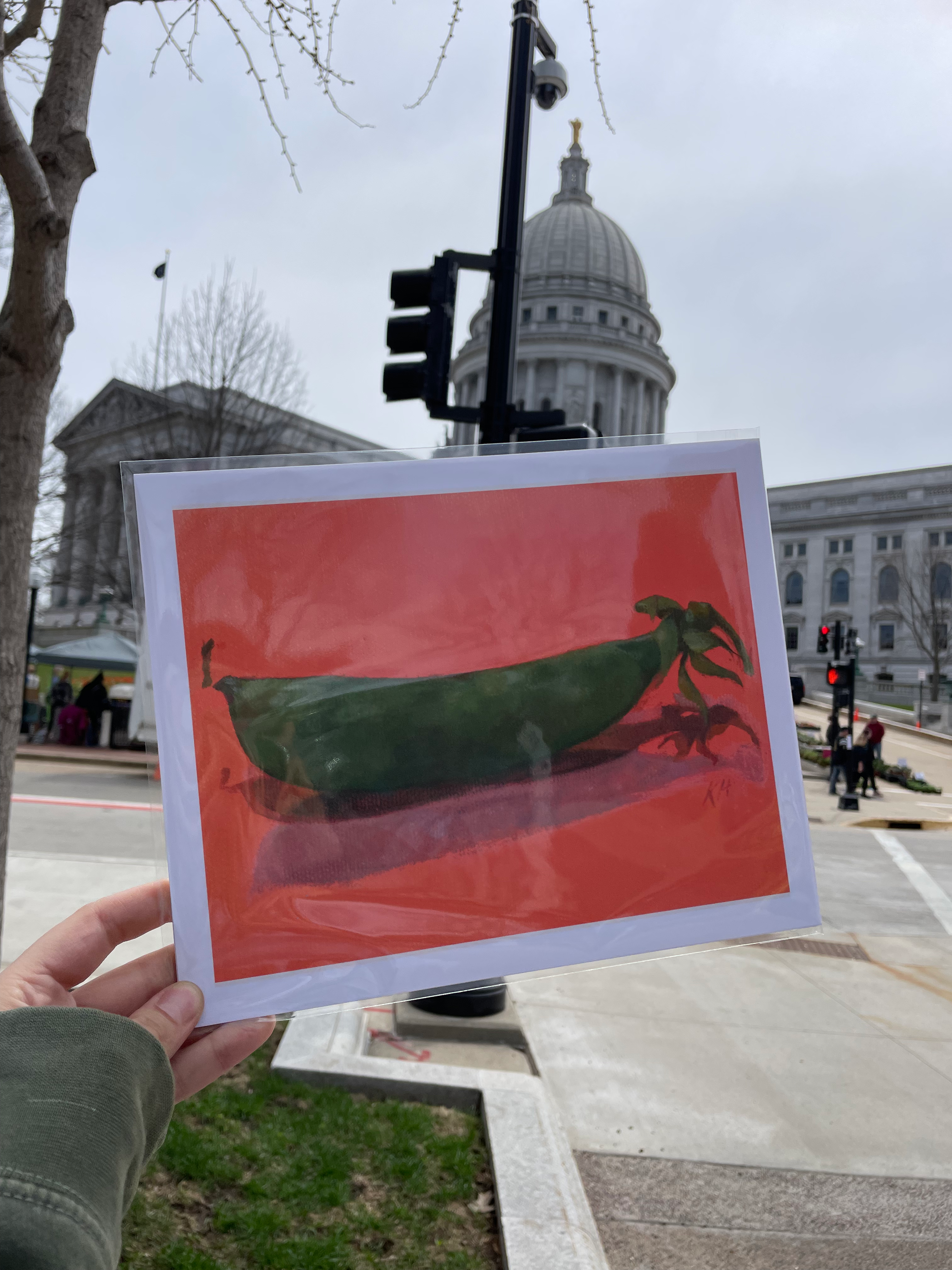 Sugar Snap Pea Prints
