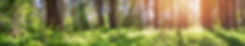 AdobeStock_206558154.jpeg