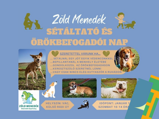 A Zöld Menedék kutyasétáltató napot szervez, hogy minden kedvenc gazdára találhasson
