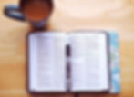 ESTUDOS BÍBLICOS