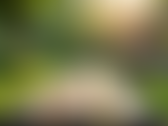 Practical Steps for Emotional Wellbeing