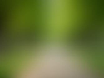 Effective Ways to Relieve Stress Naturally